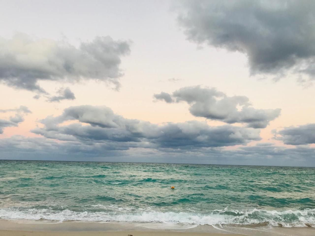 The King David Condos Miami Beach Dış mekan fotoğraf